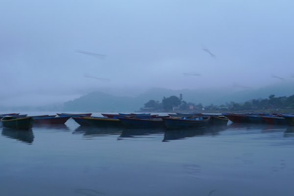 Boats on Phewa Lake - Pokhara