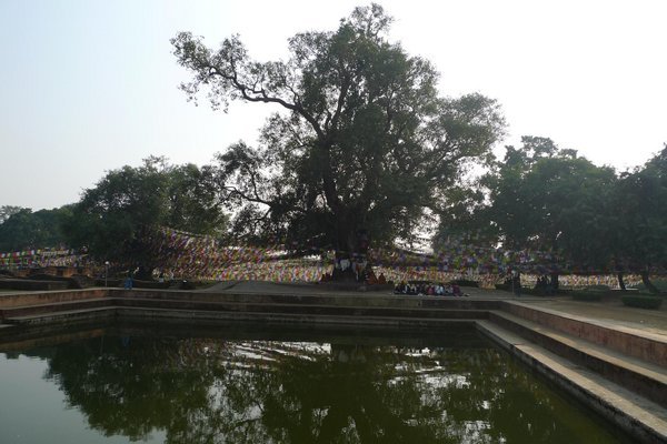 The Sacred Pond, Maya Devi Temple - Lumbini