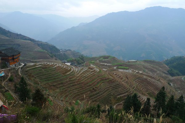 Rice Terraces - Pingan