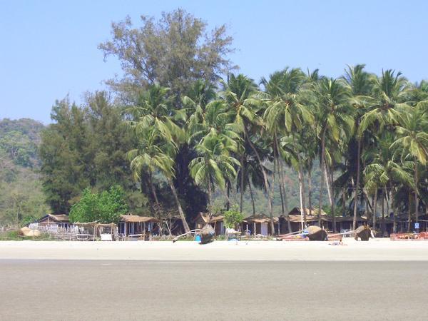 palolem beach 