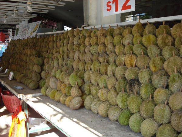 Durian fruit for sale