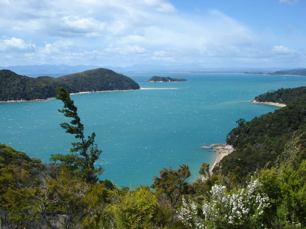 A view of one of the many bays at Abel Tasman