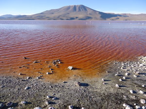 The red water of Laguna Colorada