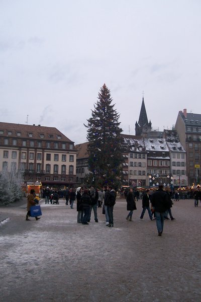 Sapin, Place Kleber, Strasbourg