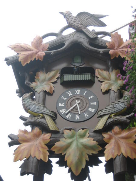 Worlds largest cukoo clock