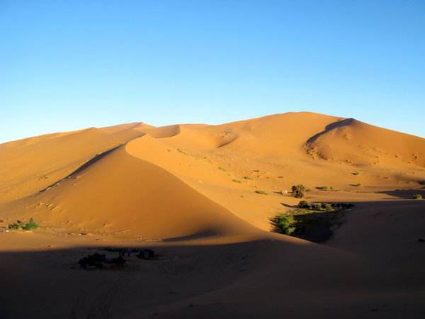 Desert in the morning