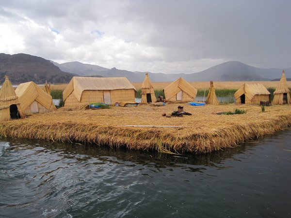 Floating Reed Islands