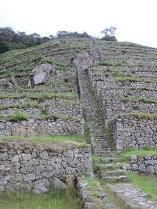Inka Ruins Day 3