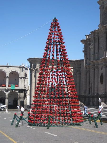 Christmas in Arequipa