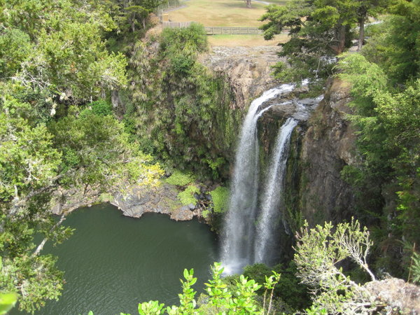 Whangarei waterfall