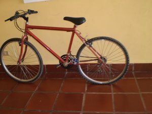 Matheus' bike