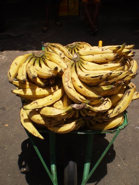 Wheelbarrow of Bananas