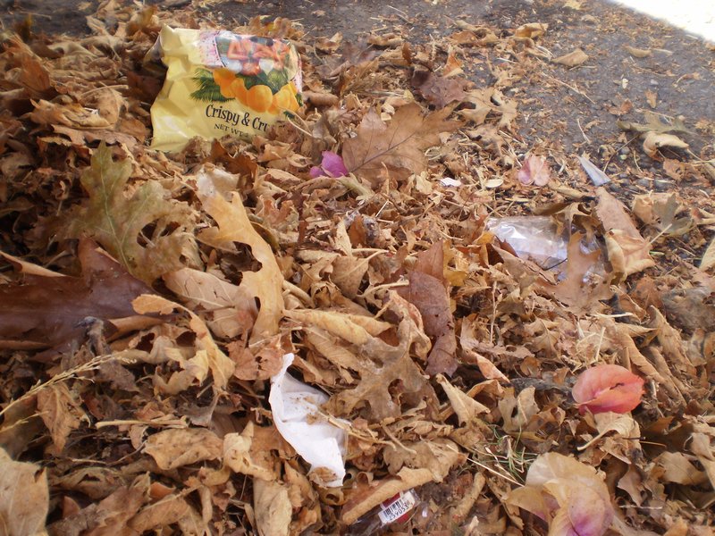 Leaves and Litter