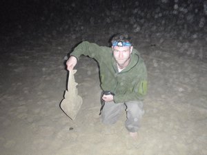 Night fishing for sand sharks