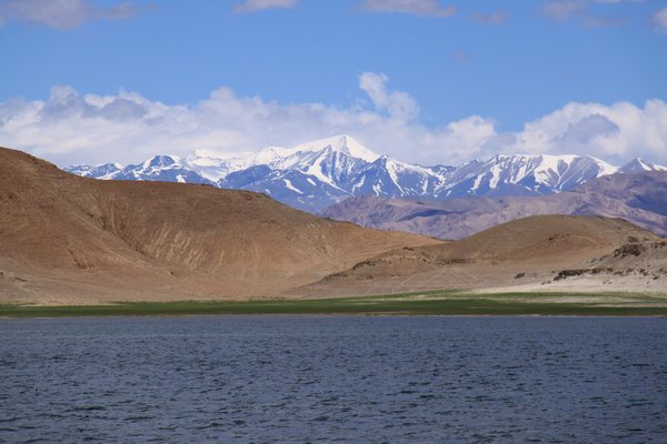 Pangong-Ts and Indian Himalaya