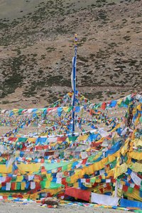 Darpoche Pole