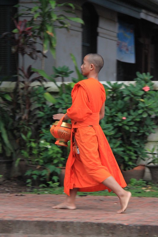 Monk in Morning 