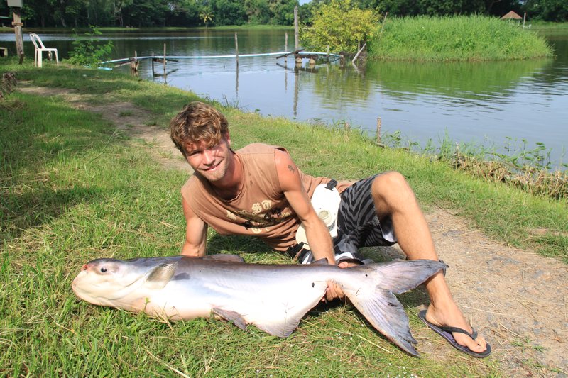 22kg Giant Mekong Catfish