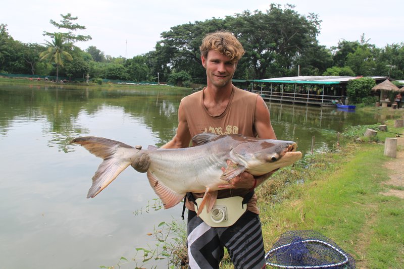 19kg Giant Mekong Catfish