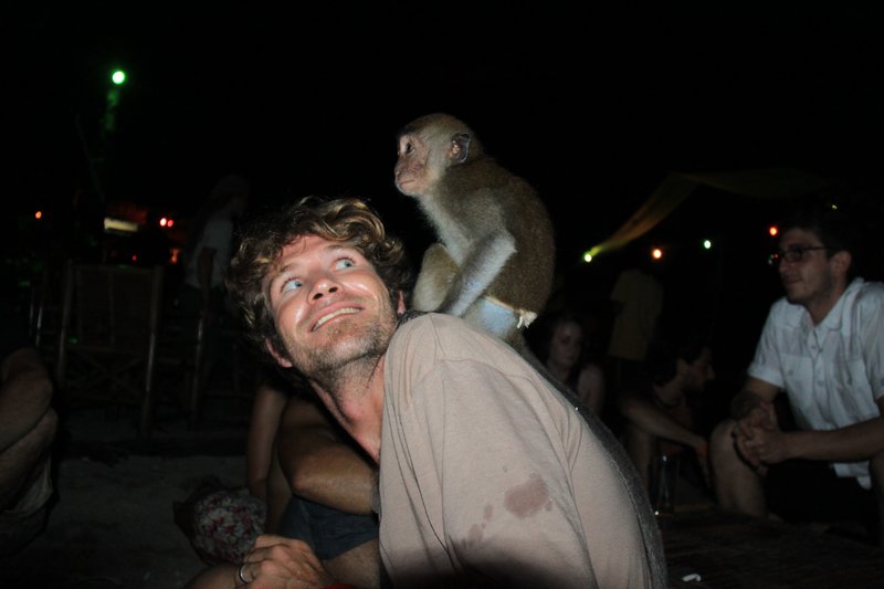 Yes- The Monkeys like to Party too. 