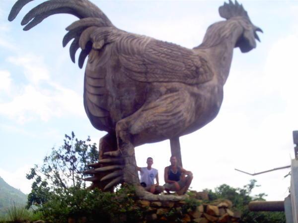 A Rather Large Chicken