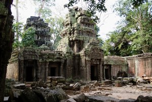 009012029 Angkor - Ta Prohm (49)