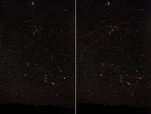 Winter Constellations- (top to bottom) Pleides, Taurus the Bull, Orion the Hunter