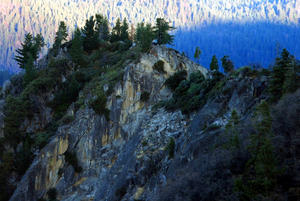 cliff forests