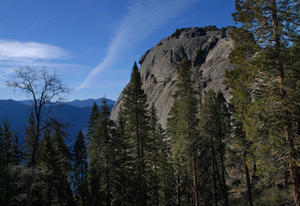 Moro Rock from the Forest