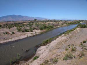 Upper Gila River