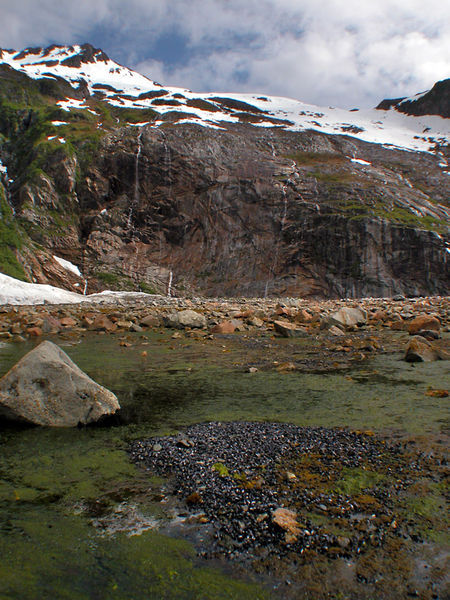 the mystic mussel flats