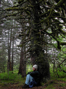 self-portrait, Alaskan Temperate Rainforest