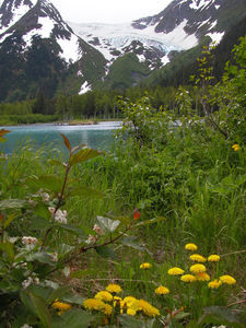 Hanging Glacier and Meadow