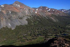 Tioga Pass Glacial valley and forest