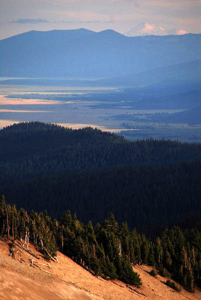 White Pines, Klamath Basin, Mt Shasta