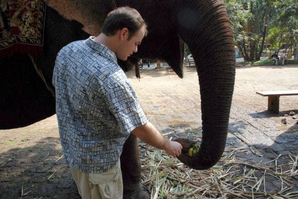 Feeding the Elephant!
