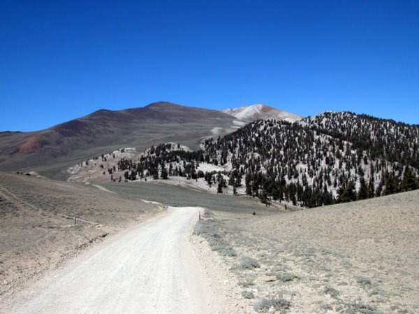 Leaving the Bristlecone Forest behind, the road turns to dirt