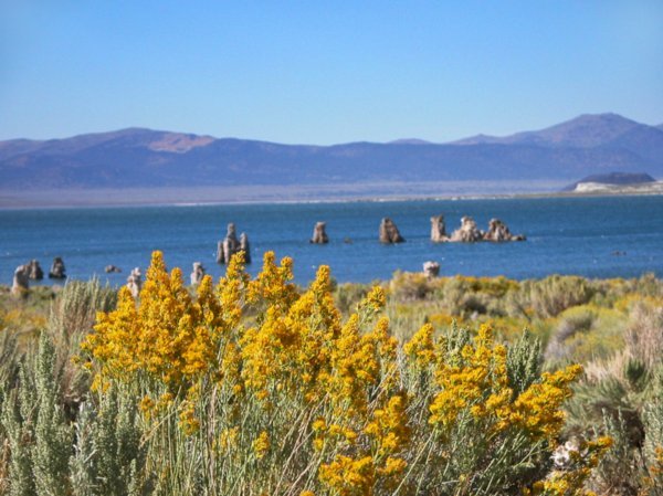 Mono Lake in August