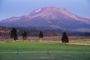 The West Face of Mt. Shasta