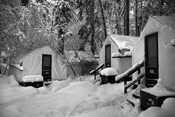 Curry Village Tent cabins