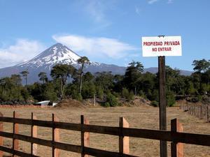 Volcan Llaima and Field