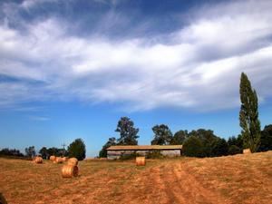 Fields near Temuco