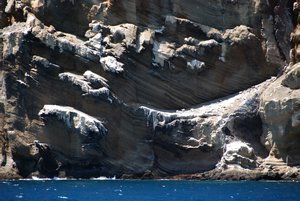 Darwin Island volcanic rocks