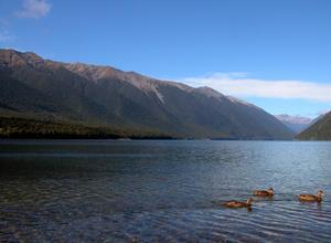Day 2-Nelson Lakes National Park