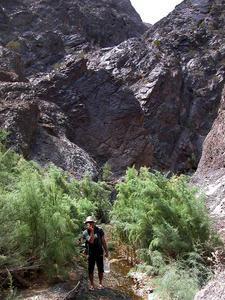 Upper Boy Scout Canyon Stream