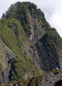 Fox Glacier Hike