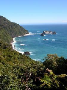 Seal Point, South Westland