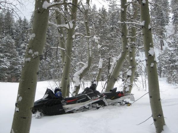 Mountain Rescue Snowmobiles