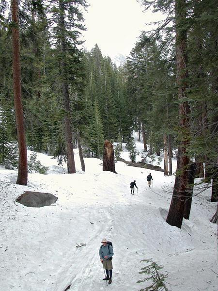 Snow Free Trail