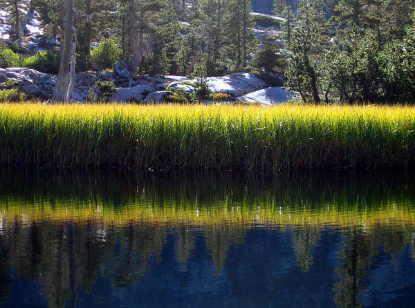 Meadow Island Reflection
